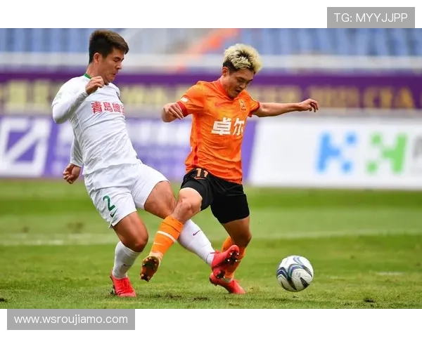 武汉排球队实力解析：战术执行与球员表现的全面评估